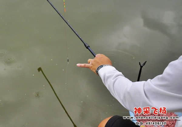 照片 740.jpg