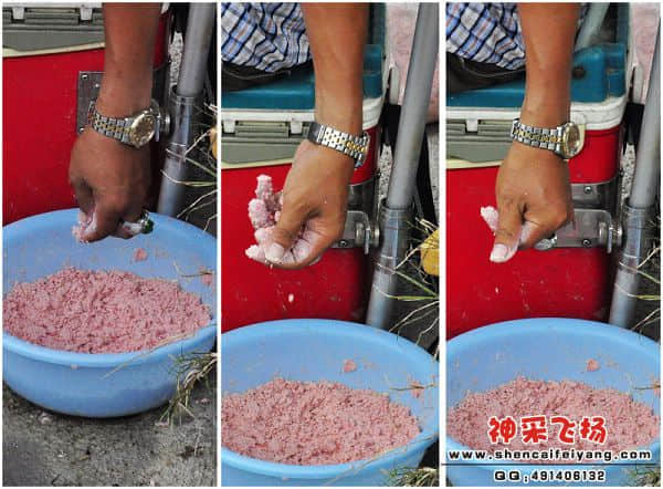 照片 469.jpg