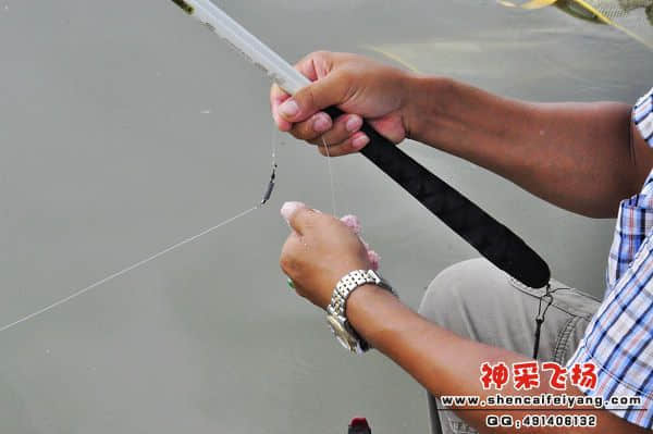 照片 479.jpg