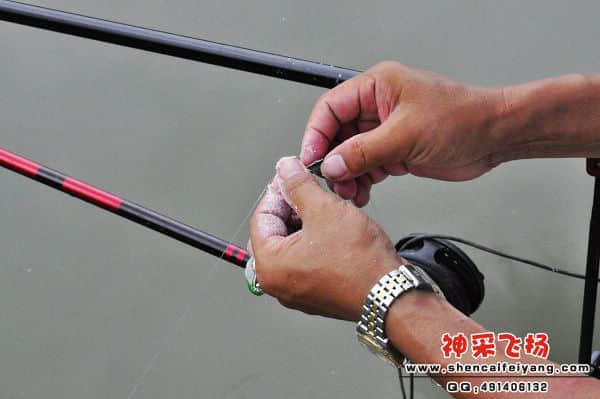 照片 489.jpg