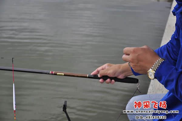 照片 917.jpg