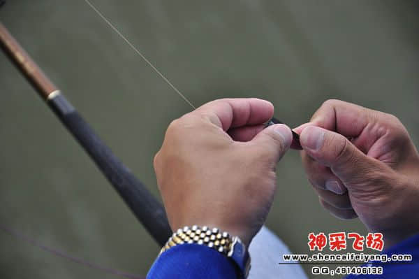 照片 920.jpg