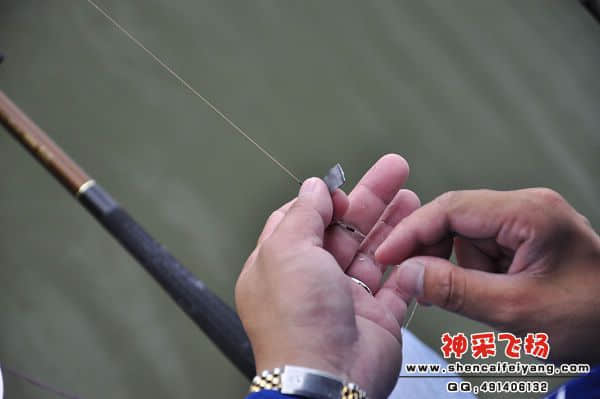 照片 924.jpg