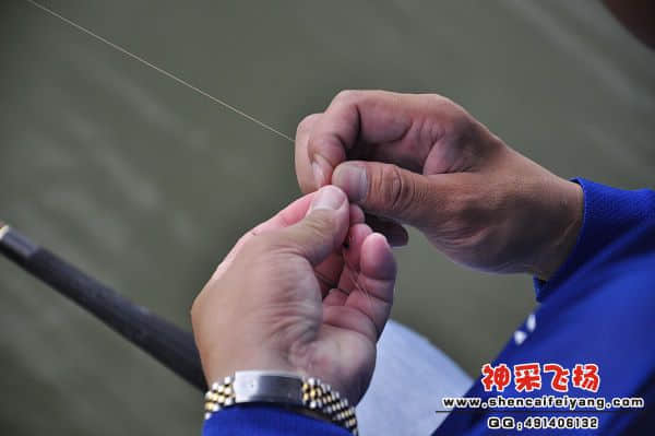 照片 930.jpg