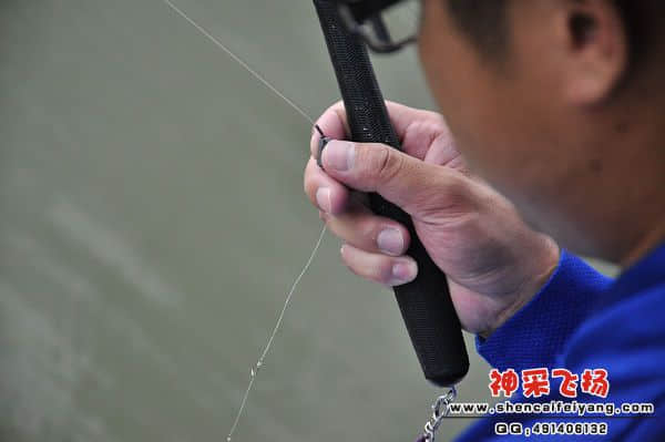 照片 933.jpg