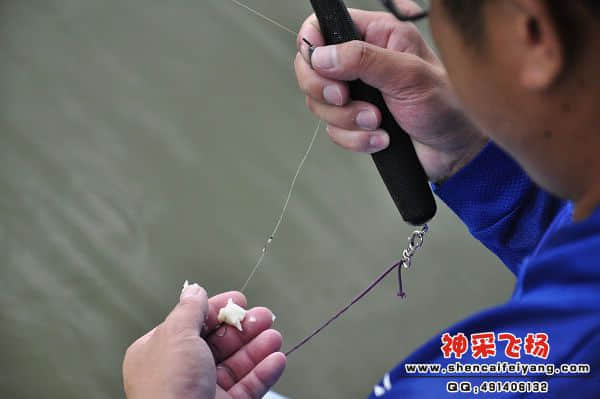 照片 934.jpg
