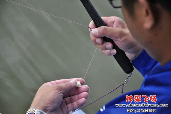 照片 936.jpg