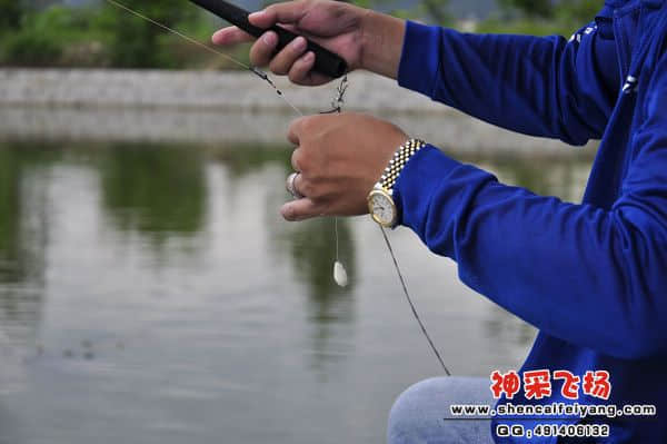 照片 984.jpg