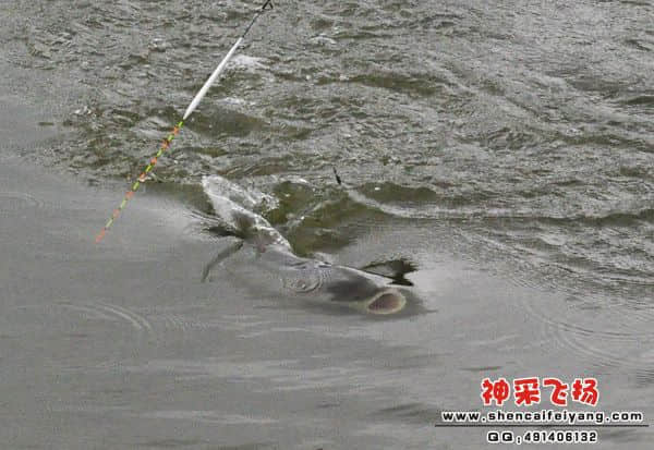 照片 129.jpg