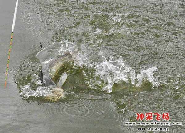 照片 132.jpg