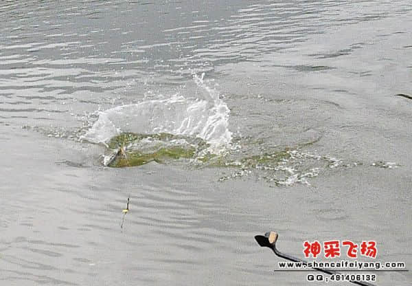 照片 214.jpg