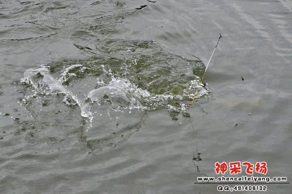 照片 245.jpg