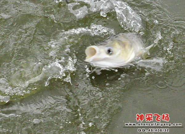 照片 134.jpg