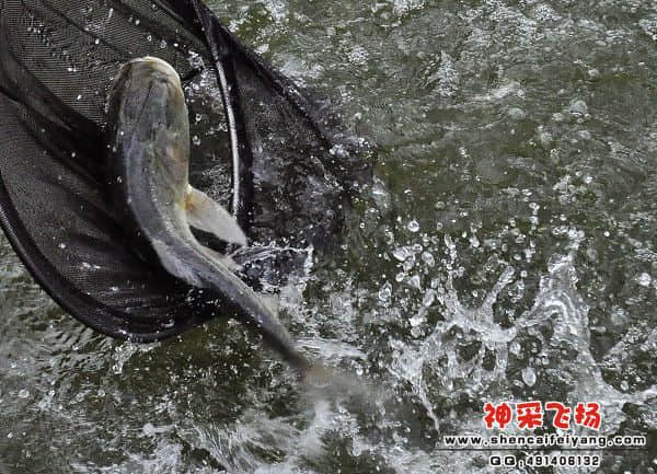 照片 136.jpg