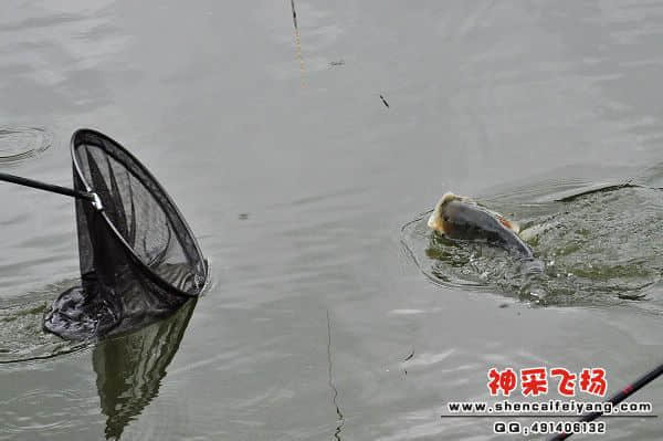 照片 146.jpg