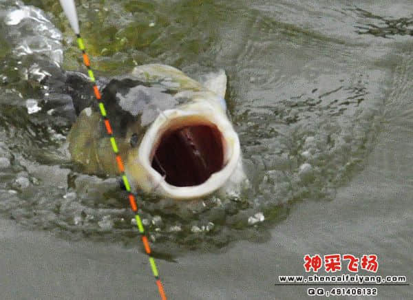 照片 250.jpg