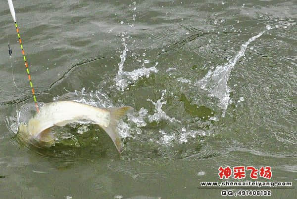 照片 344.jpg