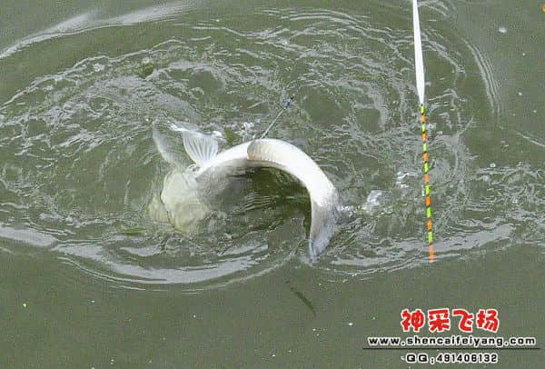 照片 543.jpg