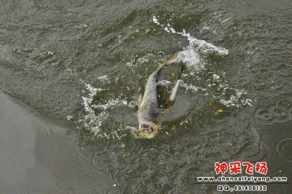 照片 578.jpg