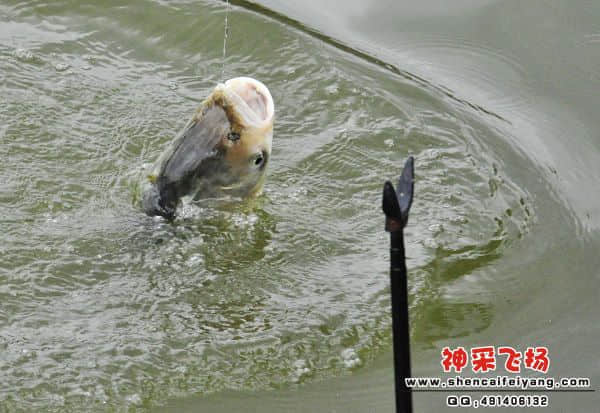 照片 593.jpg