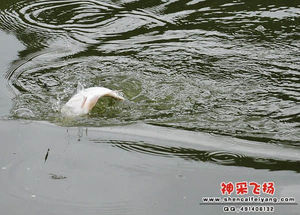 照片 780.jpg