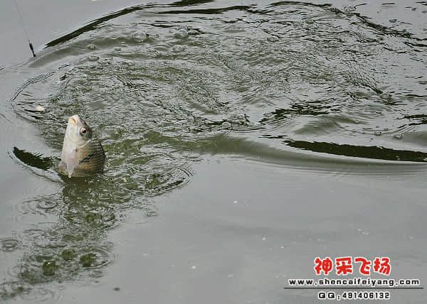 照片 785.jpg