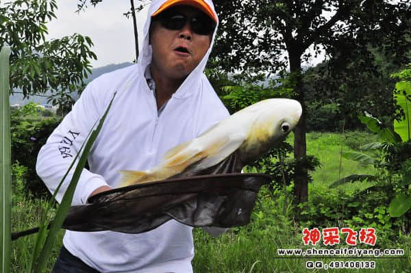 照片 229.jpg