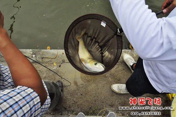 照片 259.jpg