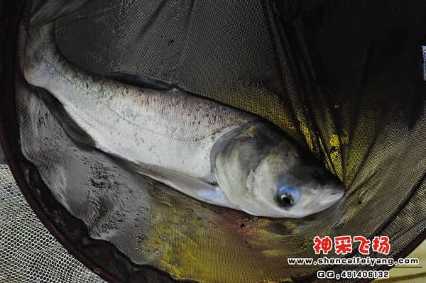 照片 601.jpg