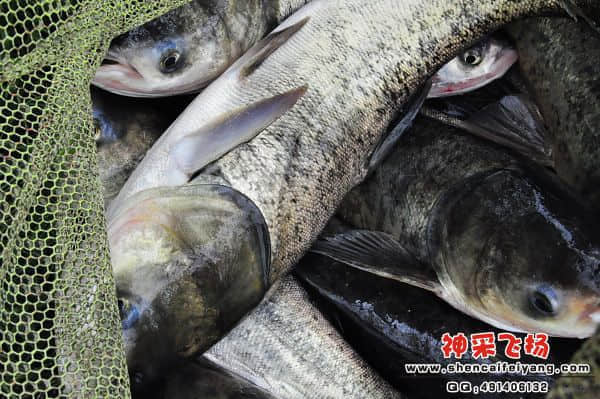 照片 663.jpg