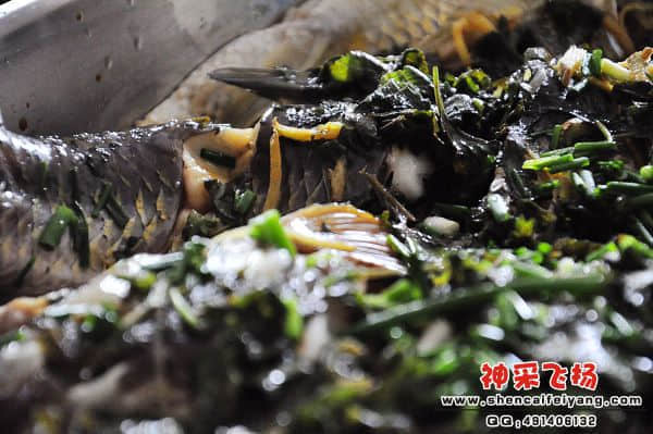 照片 868.jpg