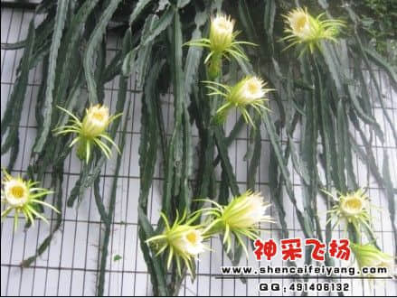 新.jpg