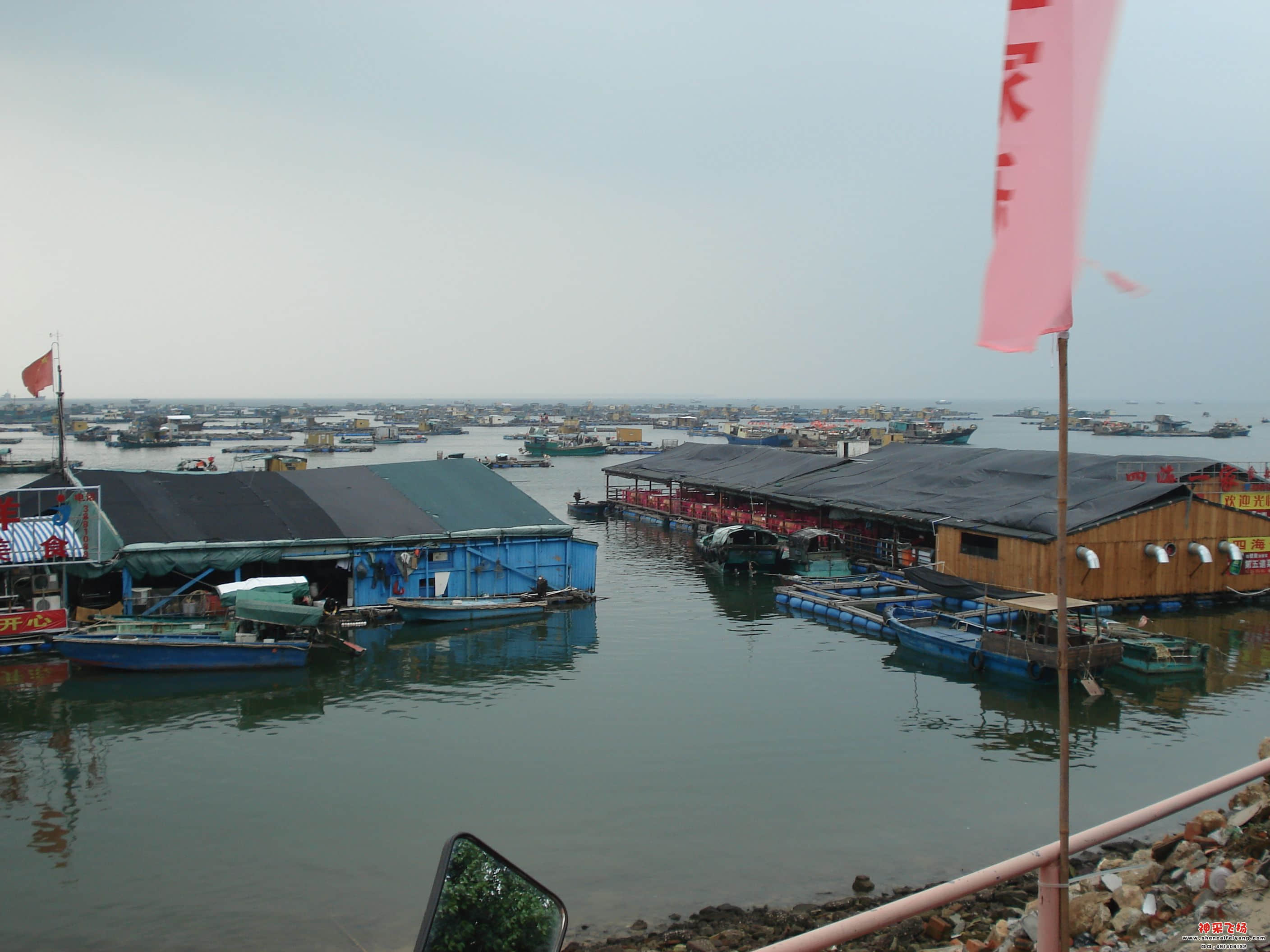 DSC02855.JPG