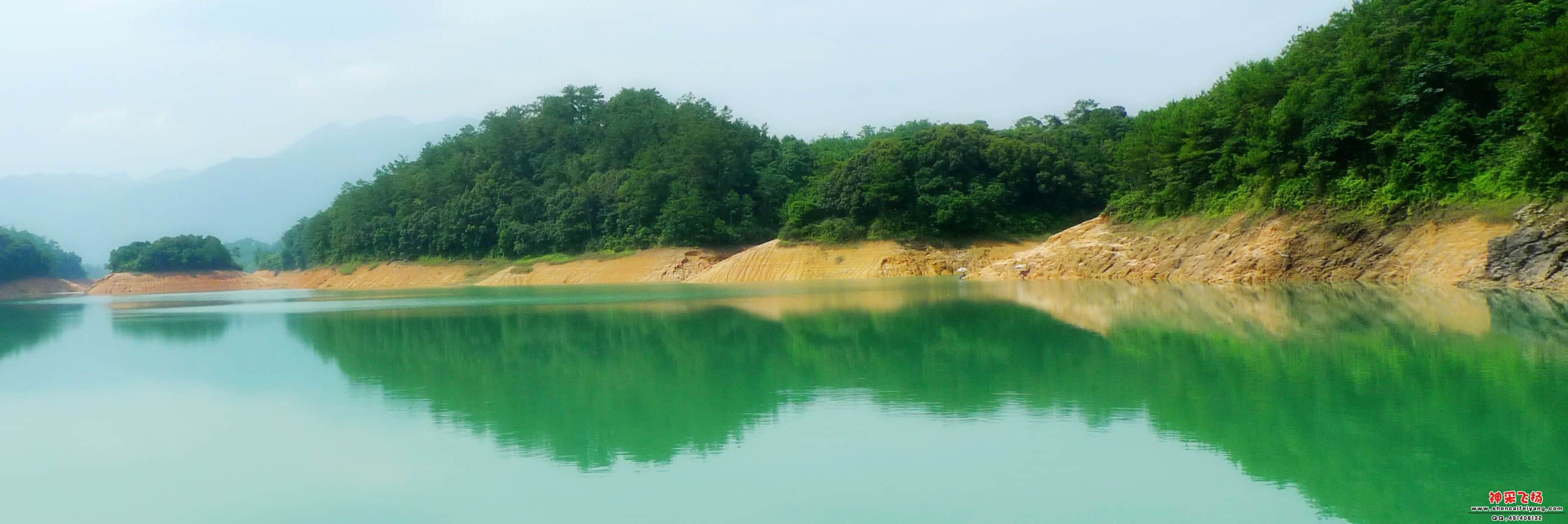 P1020636_conew1.jpg