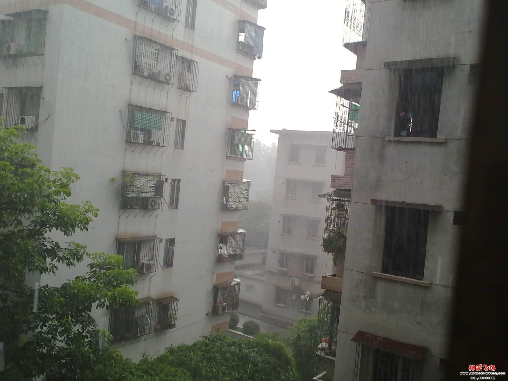 201206211610.jpg