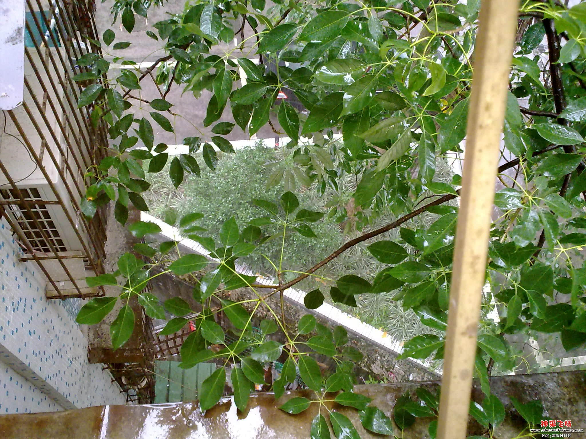 201206211609.jpg