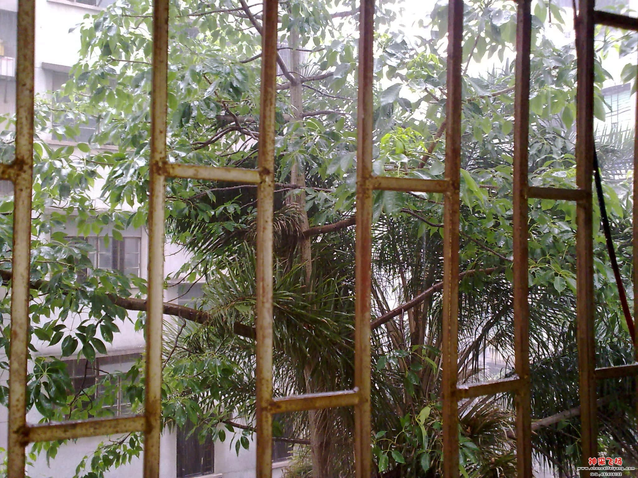 201206211608.jpg