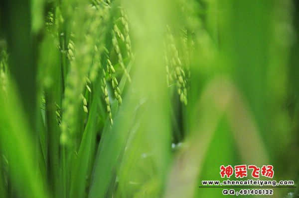 照片 012.jpg