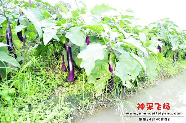 照片 075.jpg