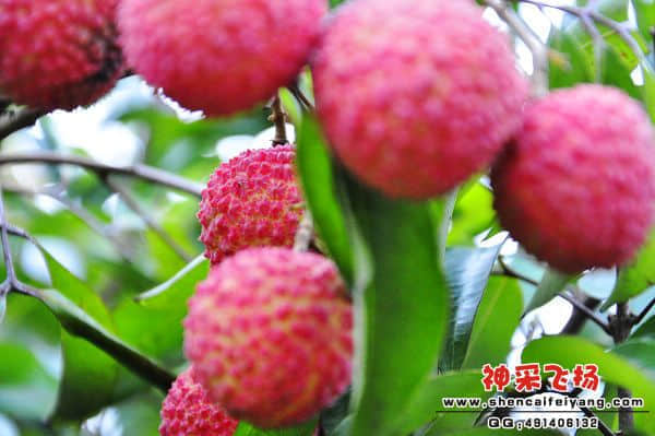 照片 089.jpg