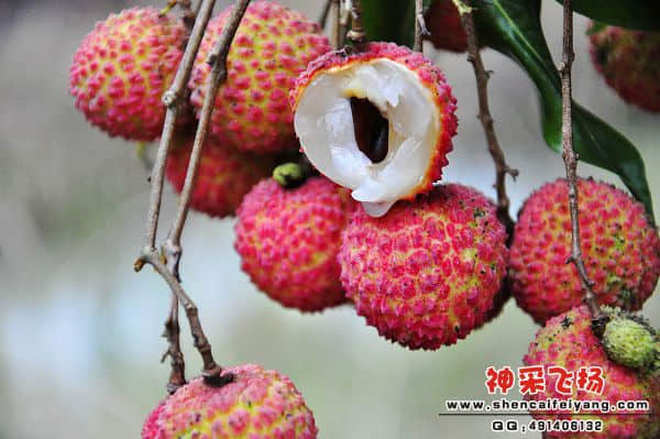 照片 132.jpg
