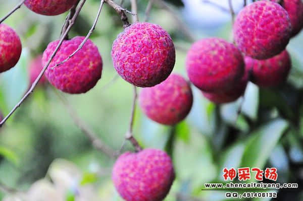 照片 136.jpg