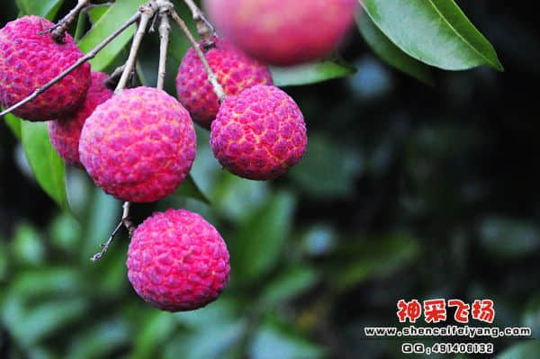 照片 142.jpg