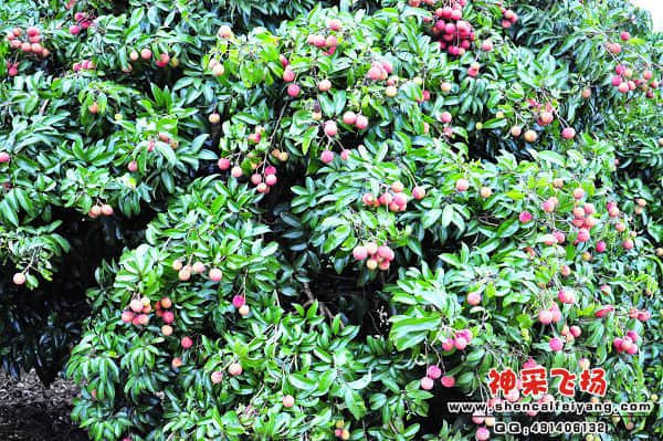 照片 154.jpg