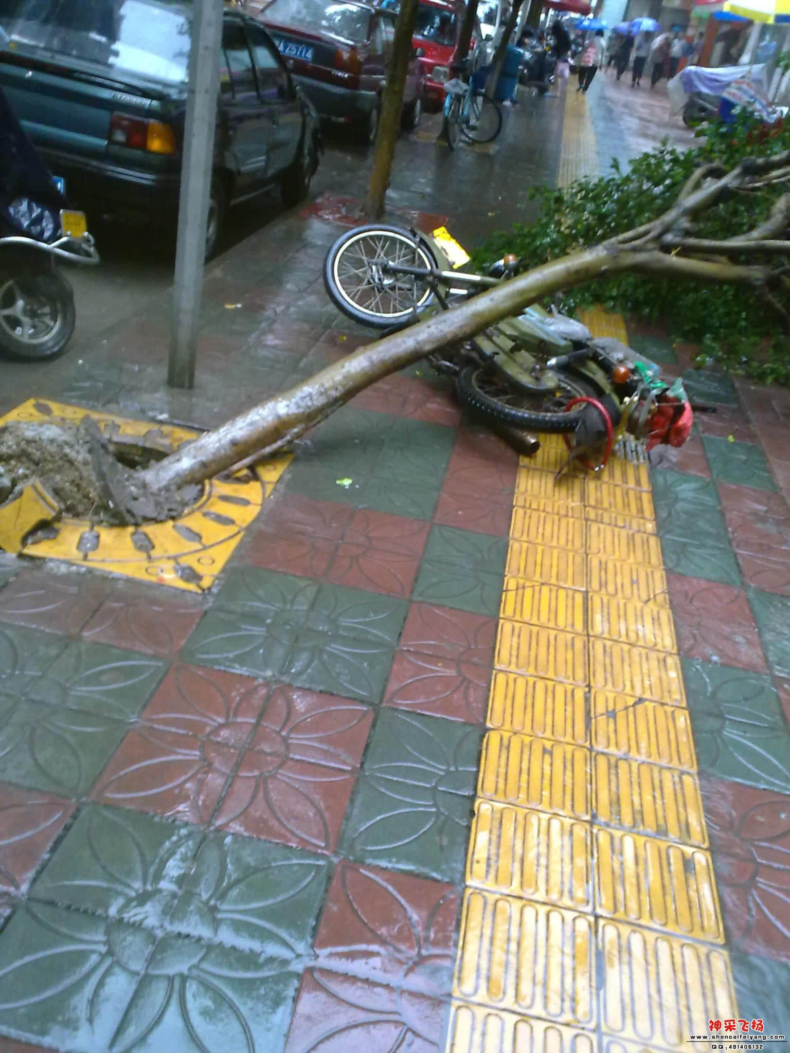 201205051290.jpg