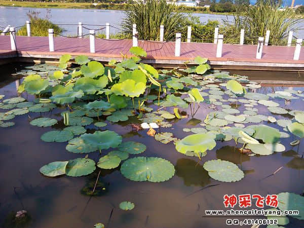 IMG_20120629_173032.jpg