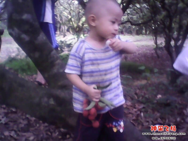 IMG0123A.jpg