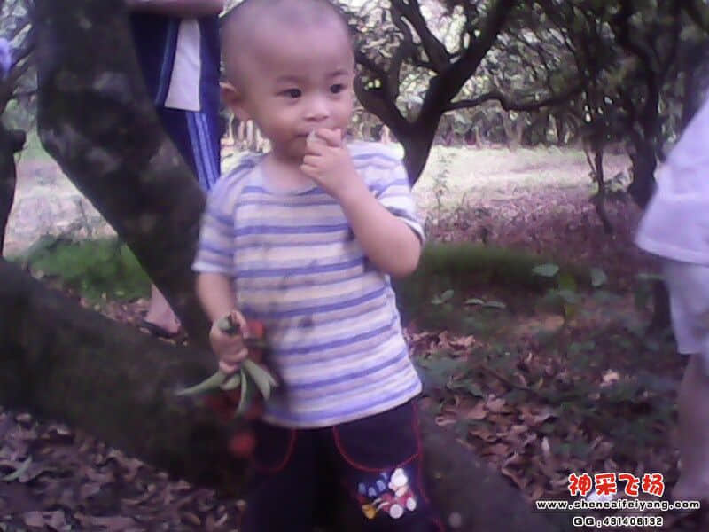 IMG0122A.jpg