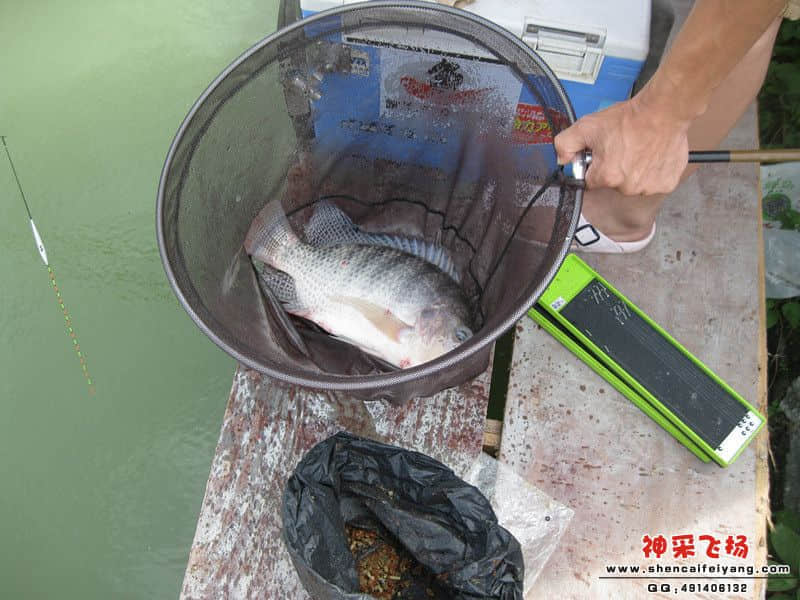 照片 475_副本.jpg