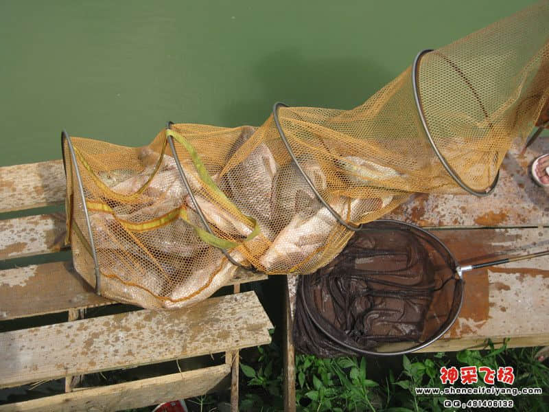 照片 476_副本.jpg